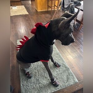 Dinosaur Pet Hoodie - Red and White